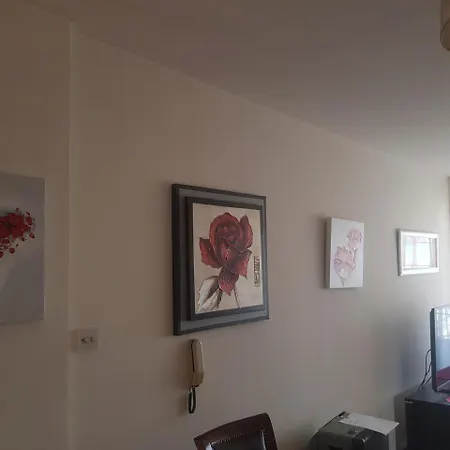 Seaview Guesthouse בית הארחה